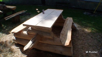 Log Picnic Table